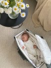 Voksi® Carry Me, Babylift, Meadow Green thumbnail