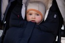 Voksi ® Move Bil -og vognpose, Black thumbnail